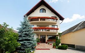 Camere de inchiriat Casa cu flori